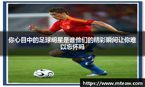 mk体育有限公司