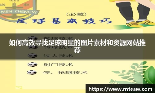 mk体育有限公司